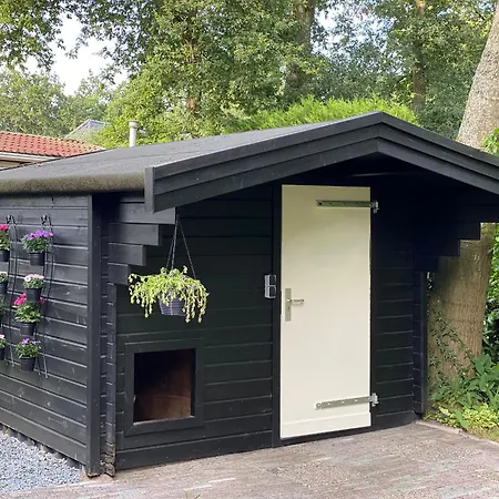 't Veluwse Boshuus 44 شاليه