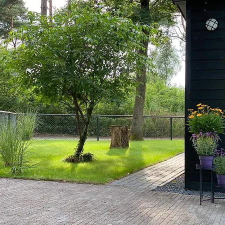 't Veluwse Boshuus 44 شاليه Hattemerbroek