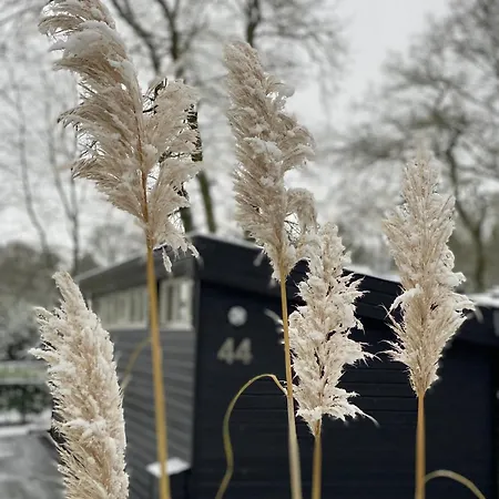 't Veluwse Boshuus 44 شاليه Hattemerbroek