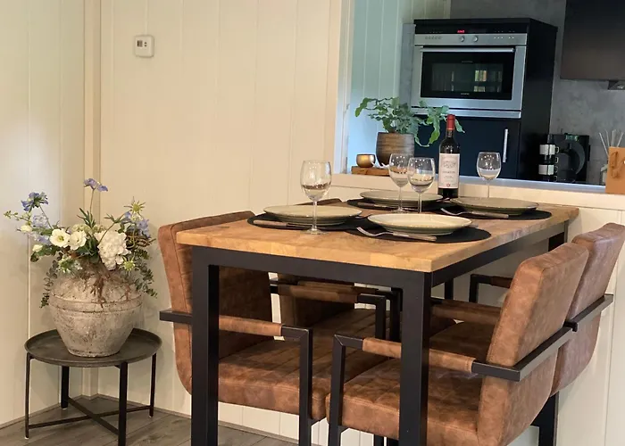 Dağ evi 't Veluwse Boshuus 44