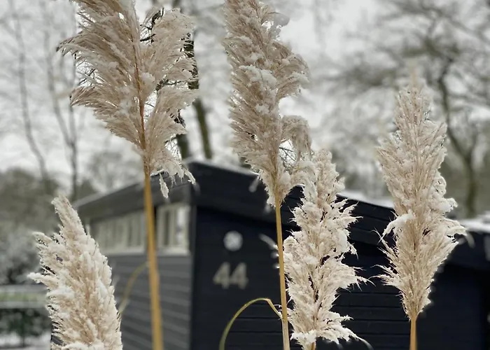 't Veluwse Boshuus 44 Dağ evi Hattemerbroek