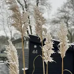 't Veluwse Boshuus 44 Alpstuga Hattemerbroek